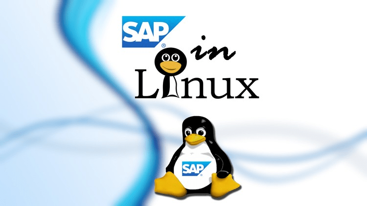 Linux Sap Gui